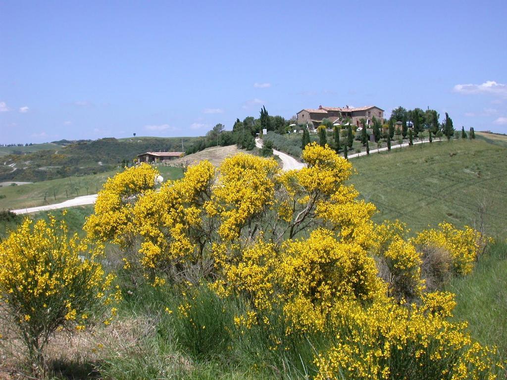 Maison d'hôtes Agriturismo Palazzo Conti A à Pienza Extérieur photo